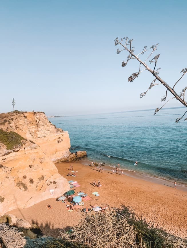 Place Praia dos Beijinhos