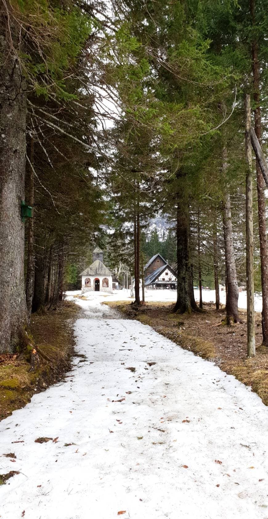 Lugar Planinski dom Tamar