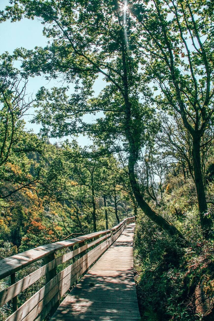 Lugar Passadiços do Paiva 