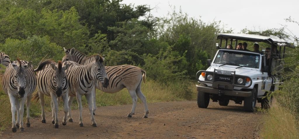 Place Hluhluwe-Umfolozi Game Reserve