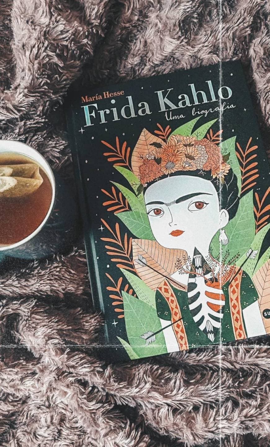 Book Frida Kahlo 