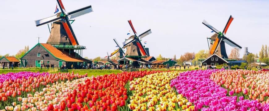 Lugar Keukenhof HOLLAND