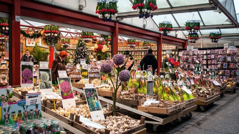 Lugar Flower Market