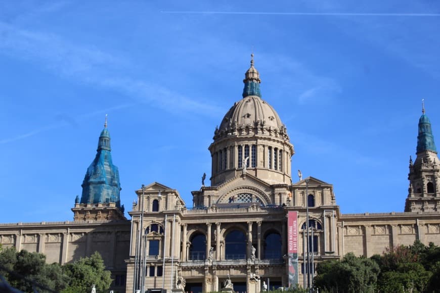 Place Museo Nacional de Arte de Cataluña