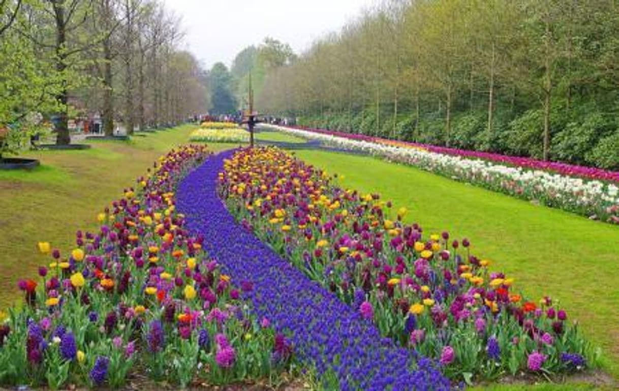 Place Keukenhof