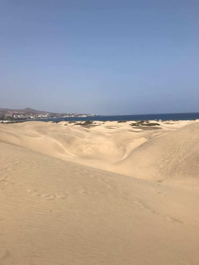 Lugar Dunas De Maspalomas