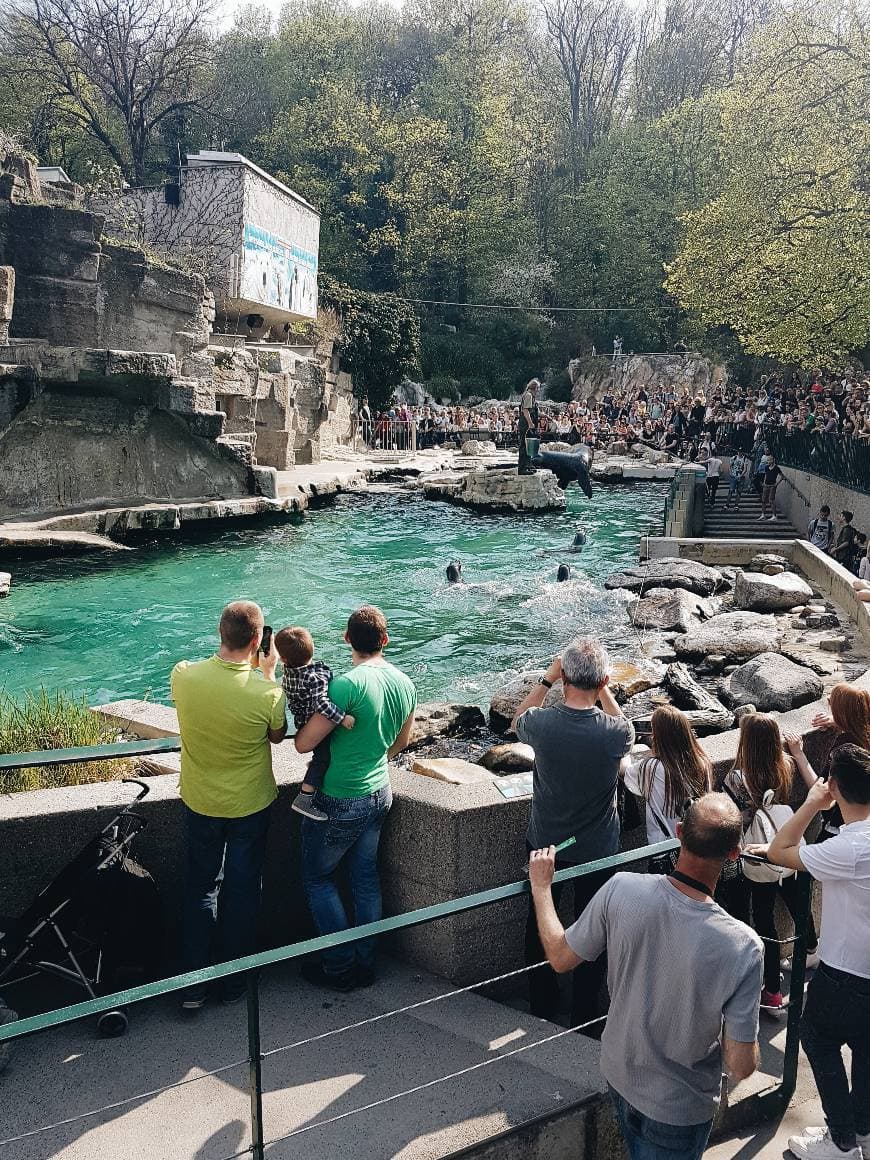 Lugar Schönbrunn Zoo