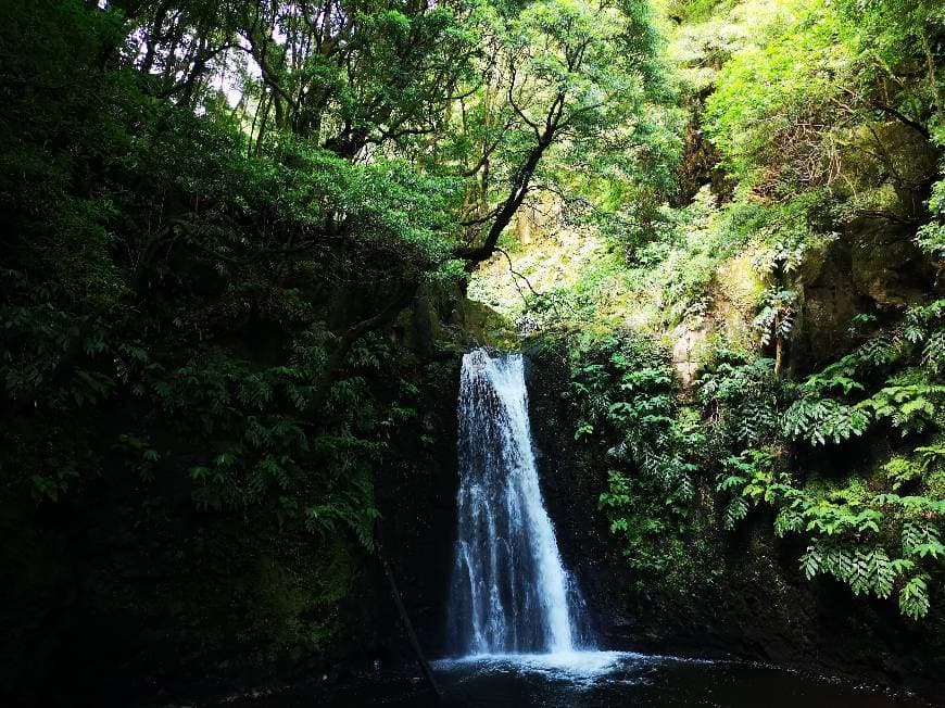 Lugar Sanguinho - Turismo de Natureza nos Açores Lda.