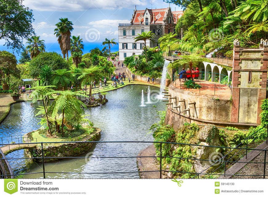 Place Jardim Tropical de Monte