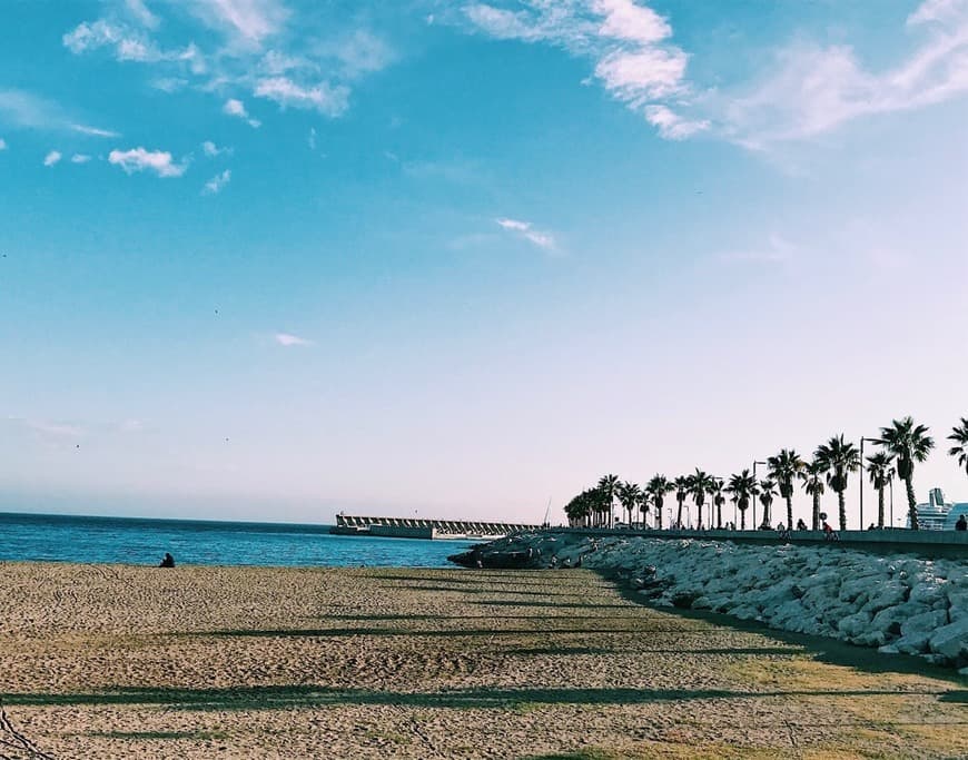 Lugar Playa La Malagueta