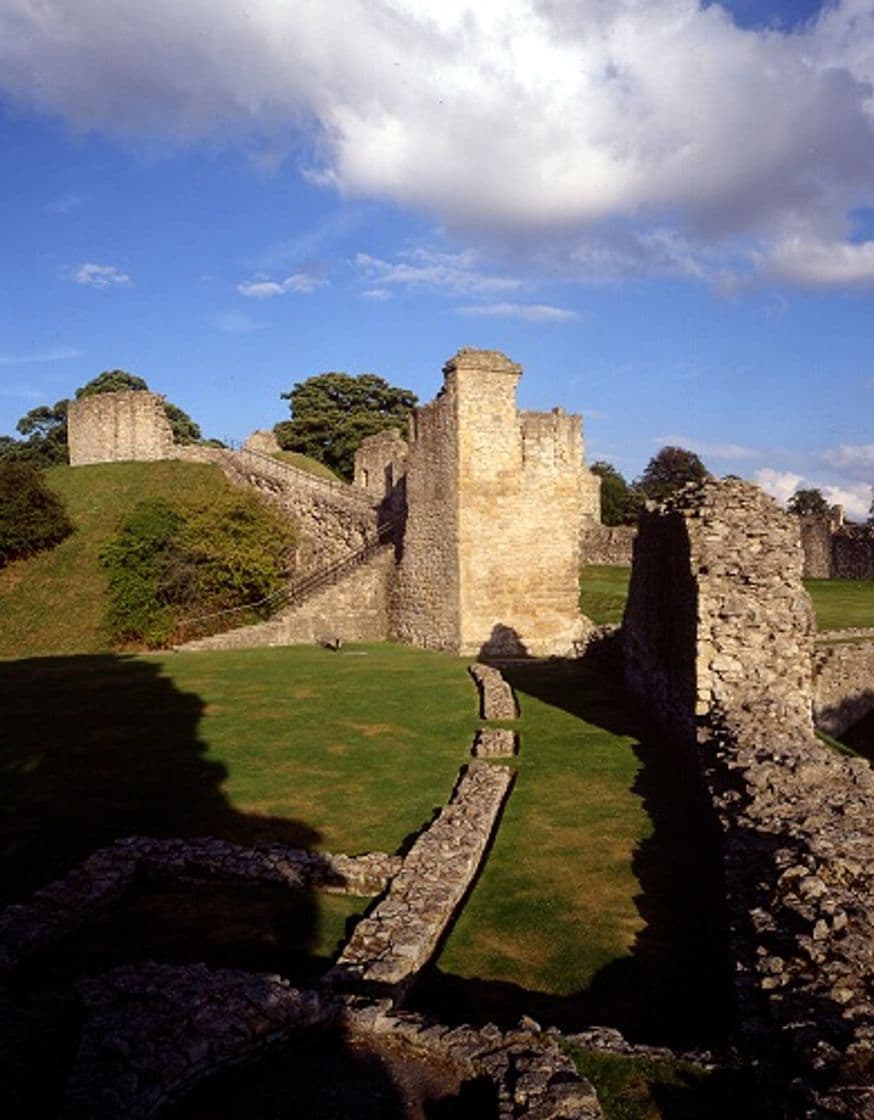 Place Pickering Castle