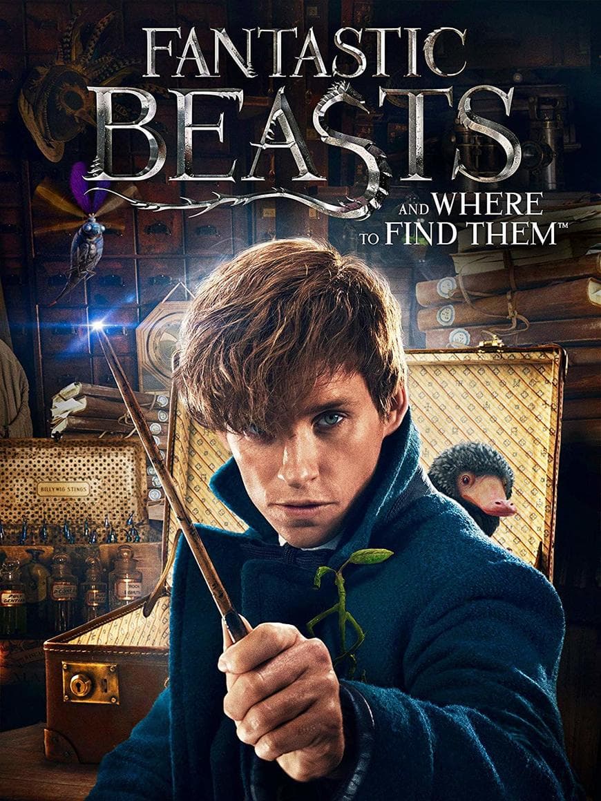 Película Fantastic Beasts and Where to Find Them