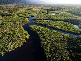 Place Amazonia