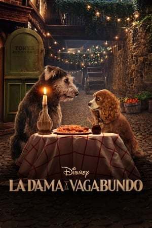 Movie Lady and the Tramp