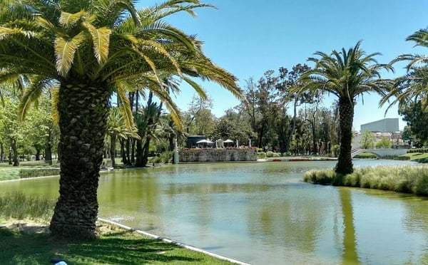 Lugar Jardim do Campo Grande