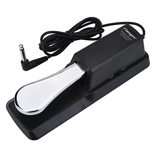 Lugar Sustain Pedal