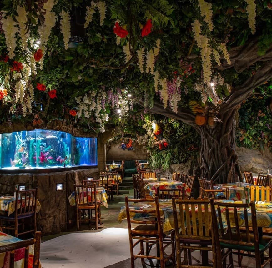 Restaurantes Rainforest Cafe