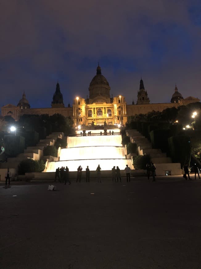 Place Museo Nacional de Arte de Cataluña