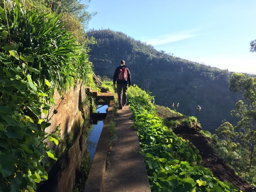 Lugar Camacha - Levada dos Tornos