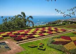 Lugar Jardín Botánico de Madeira