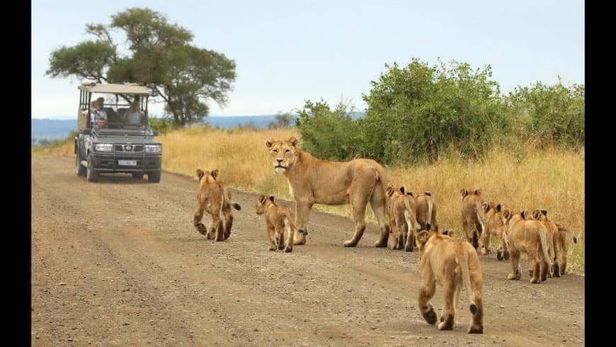 Place Parque nacional Kruger