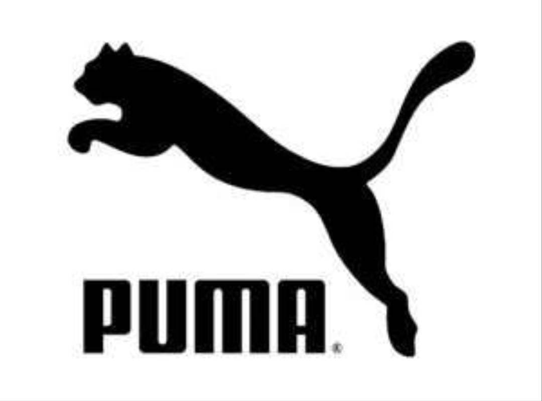 Fashion Puma