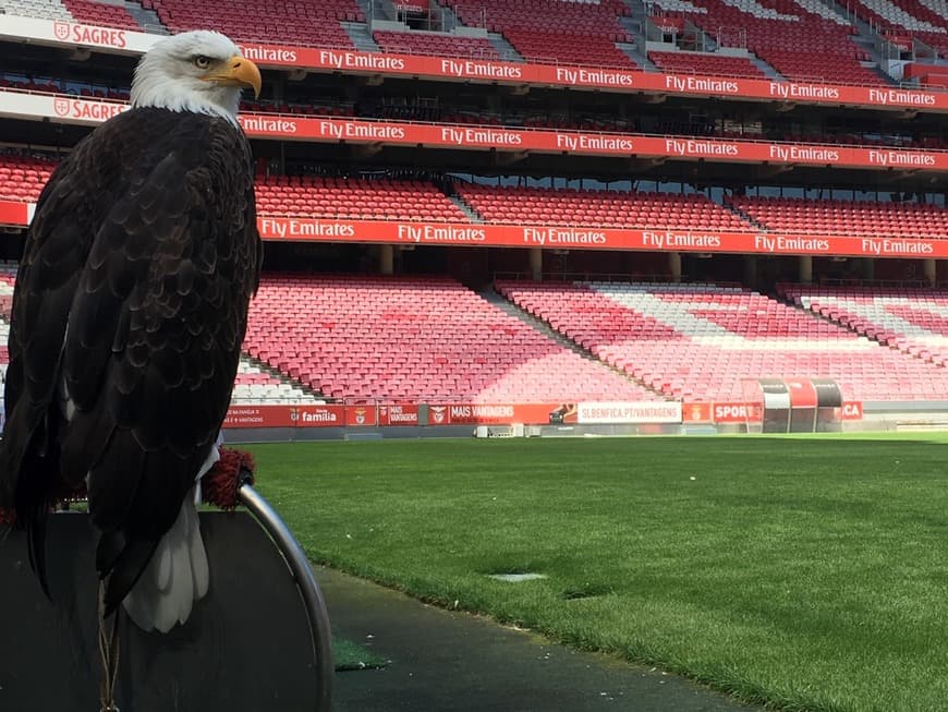 Place Estádio da Luz