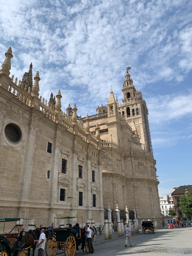 Lugar Catedral de Sevilla