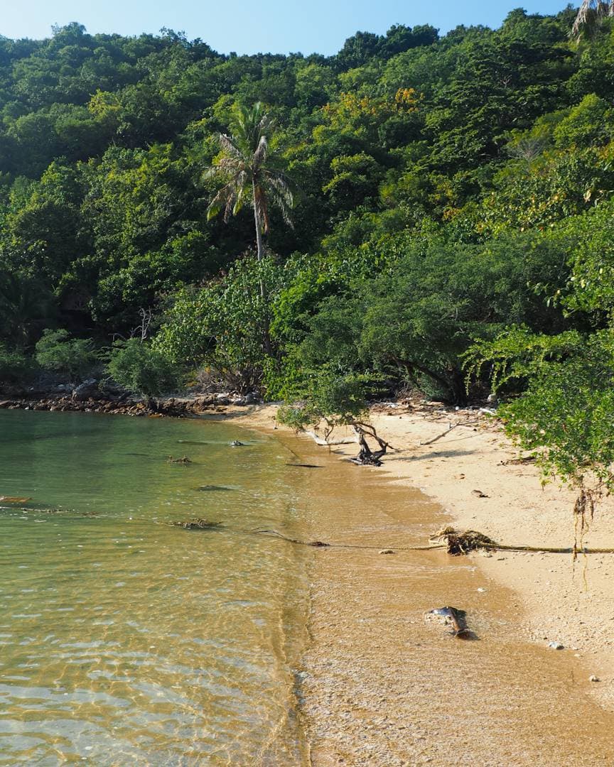 Place Koh phangan