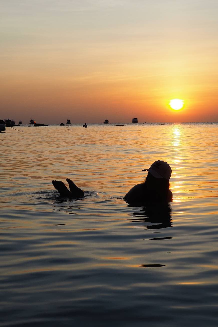 Place Koh Tao