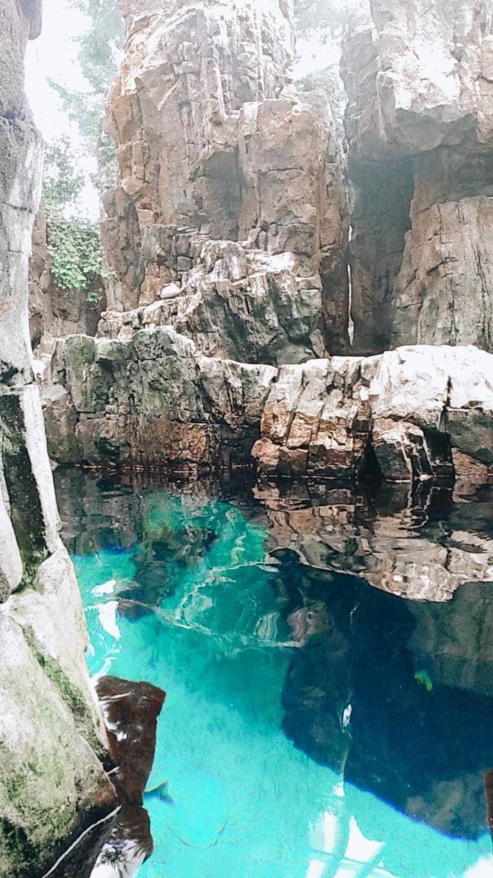 Place Oceanario de Lisboa