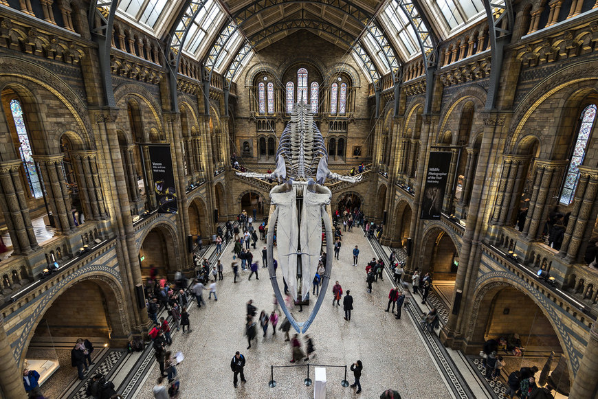 Place Natural History Museum