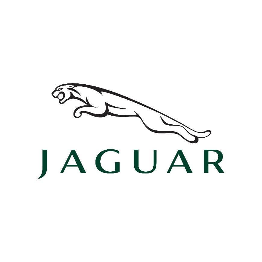 Fashion Jaguar