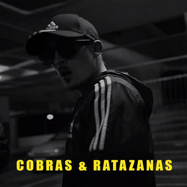 Music Cobras & Ratazanas