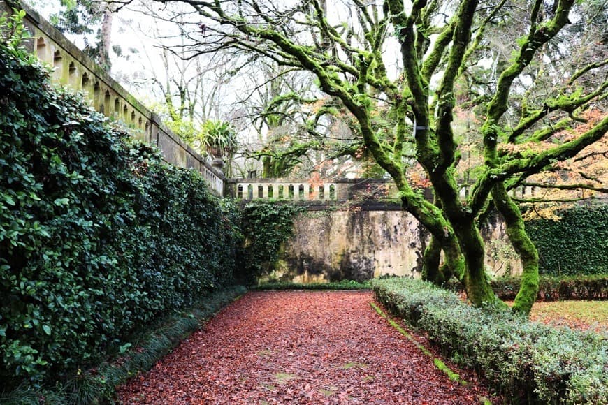 Lugar JARDIM BOTÂNICO