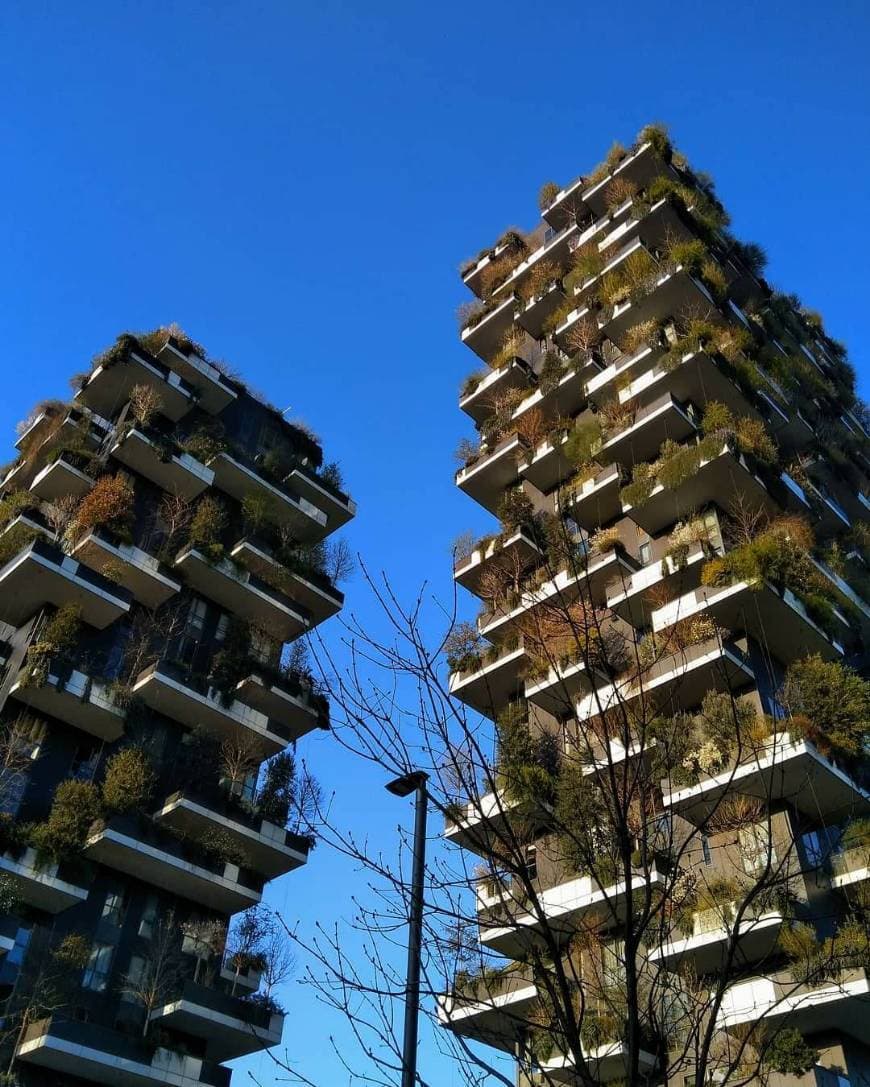 Lugar Bosco Verticale