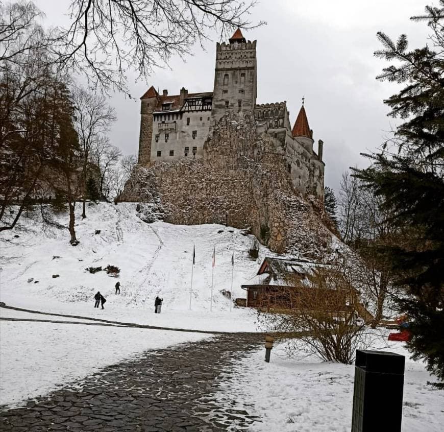 Lugar Castelul Bran