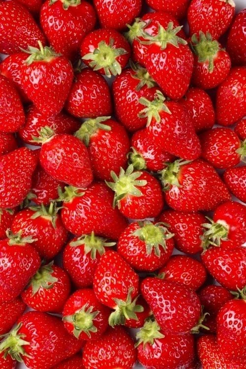 Producto Morango 🍓 