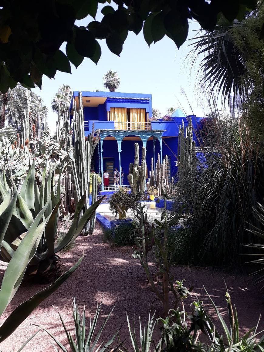 Place Jardín Majorelle