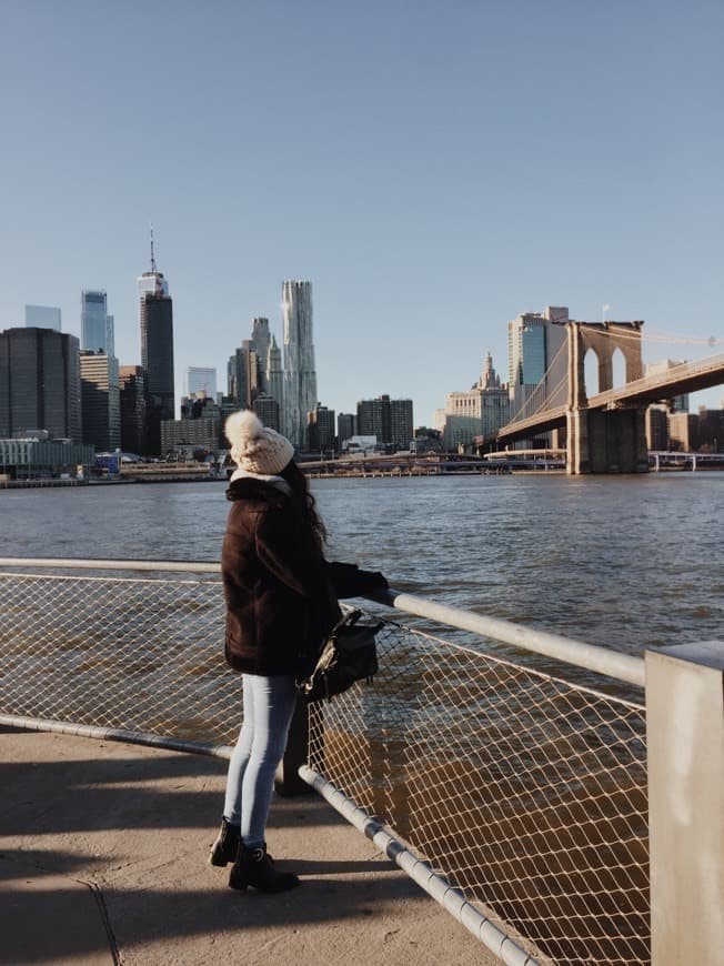 Lugar Brooklyn Bridge Park Pier 2