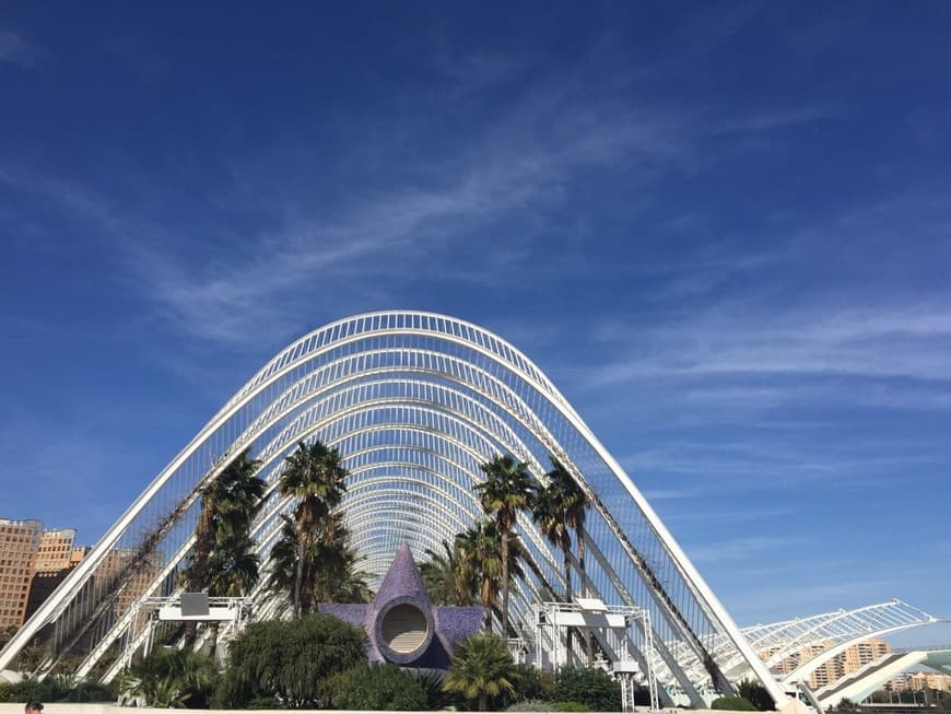 Place Ciudad de las Artes y las Ciencias