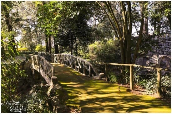 Place Parque São Roque- Porto