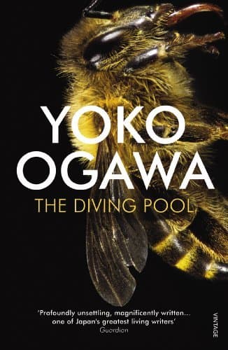 Libro The Diving Pool