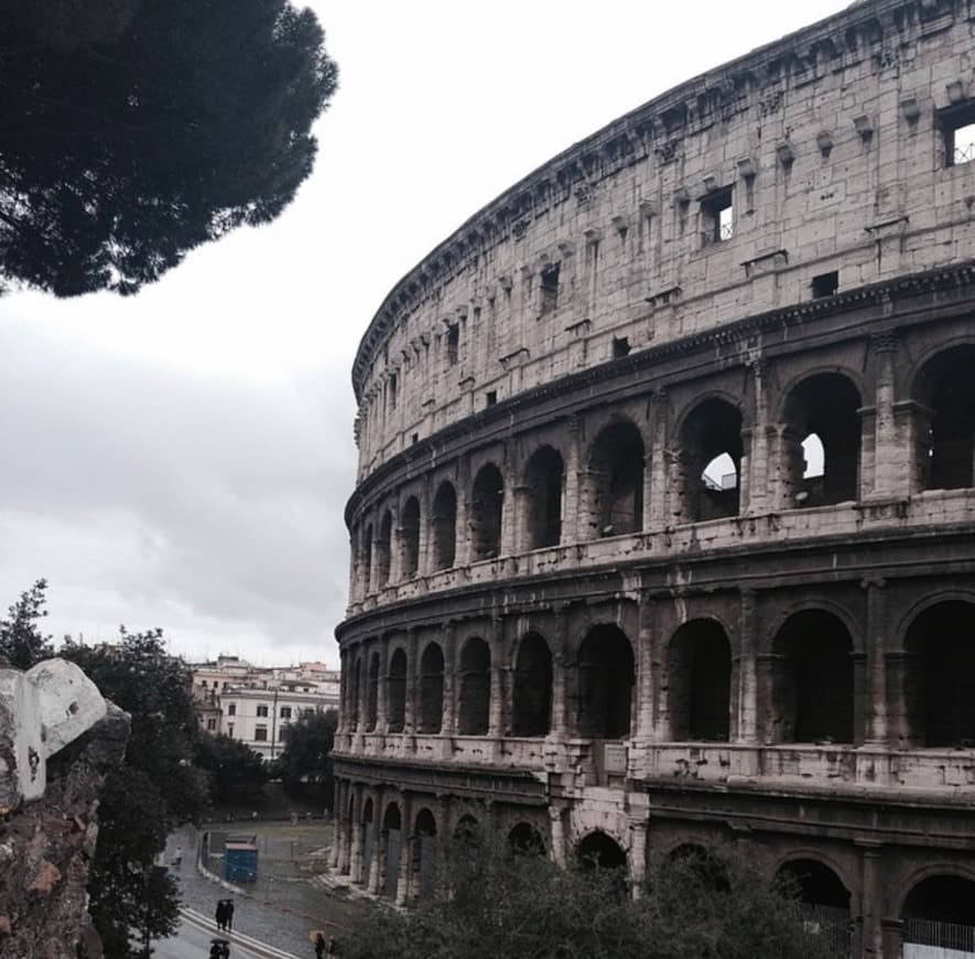 Lugar Coliseo de Roma