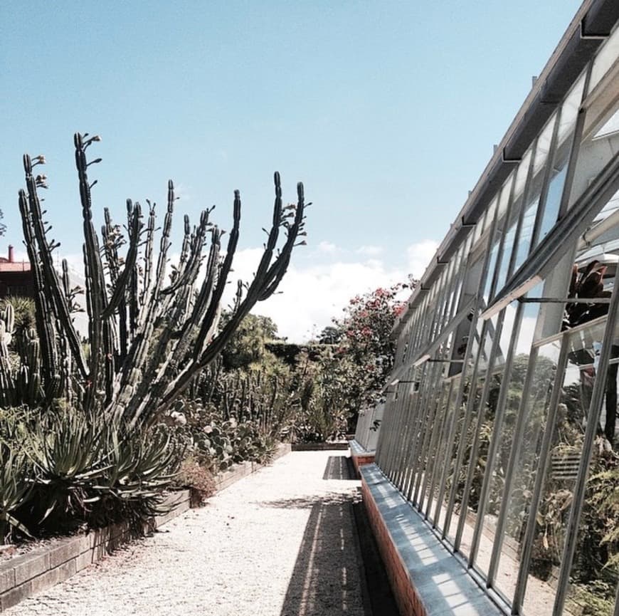 Lugar Jardín Botánico de la Universidad de Oporto