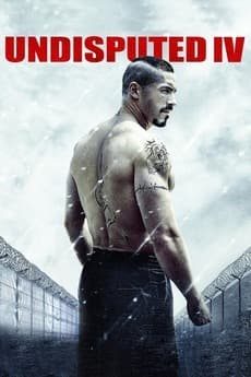 Movie Boyka: Undisputed IV