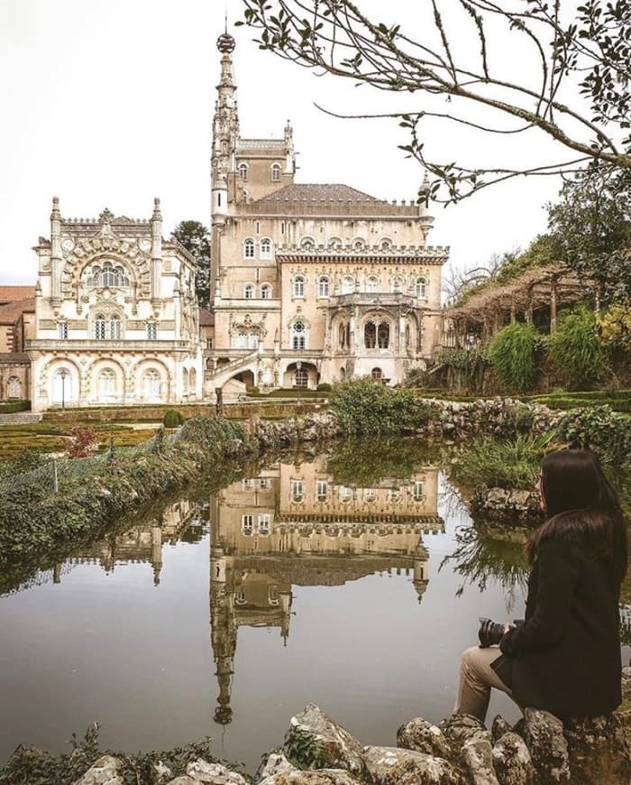 Place Bussaco Palace Hotel