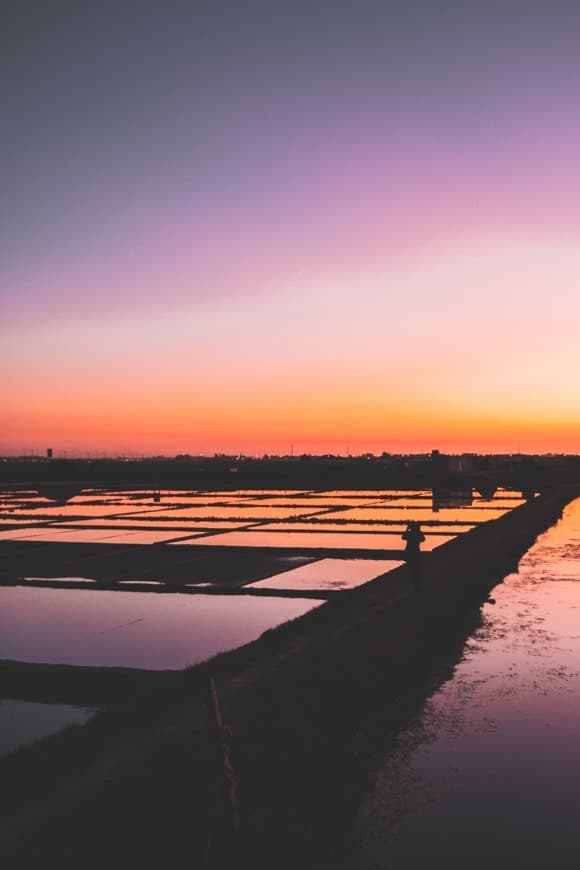 Place Salinas de Aveiro