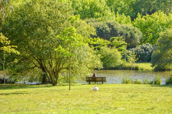 Place Parque da Cidade