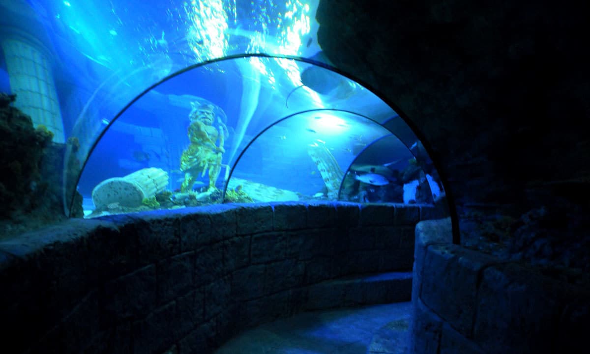 Lugar SEA LIFE Porto